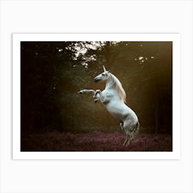 Unicorn rearing - Bruges Belgium horse photo print - moody animal photography Art Print