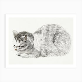 Sketch Of A Lying Cat, Jean Bernard Art Print