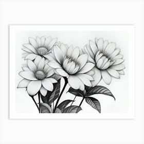 Black And White Flowers Art Print