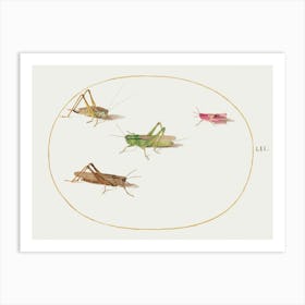 Four Grasshoppers (1575–1580), Joris Hoefnagel Art Print