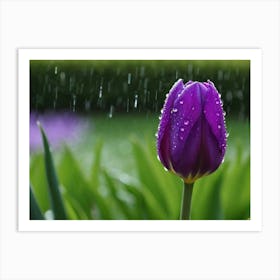 Purple Tulip in the rain Art Print