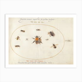 Plate 69 Nine Bees And Other Insects (C Art Print
