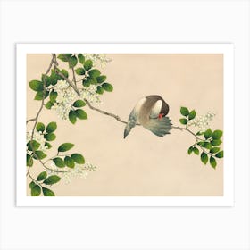 Preening Bird Art Print