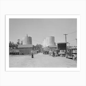 Untitled Photo, Possibly Related To Farmer Waiting In Line For Load Of Liquid Feed, Owensboro, Kentucky By Russell 1 Art Print