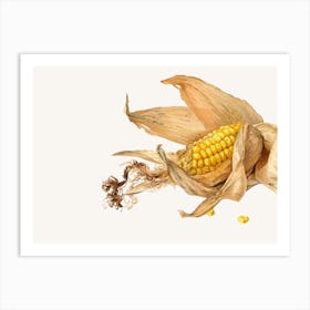 Corn On The Cob Art Print