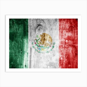 Mexican Flag Art Print