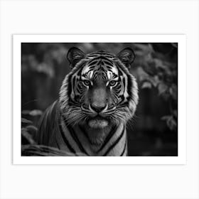 Tigris Art Print