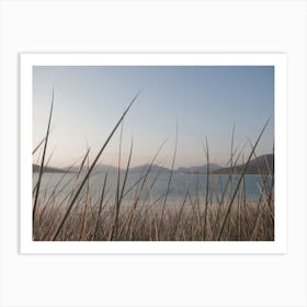 Lakeshore Grass Art Print