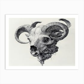 Ram Skull on White Art Print