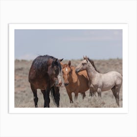 Horse Family Art Print