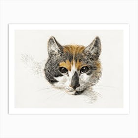 Head Of A Calico Cat With Open Eyes, Jean Bernard Art Print