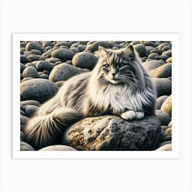 Cat On Rocks - Adapt Art Print