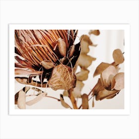 Protea Flower Arrangement Art Print