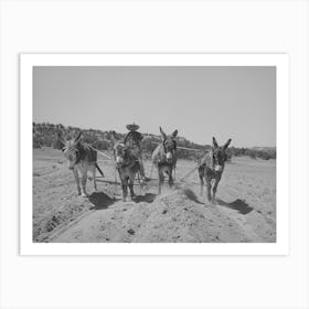 Mr, Leatherman, Homesteader From Texas, Building Terraces With His Burro, Pie Town, New Mexico By Russell Lee Art Print