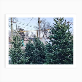 Christmas Trees Art Print