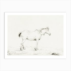Standing Horse 1, Jean Bernard Art Print