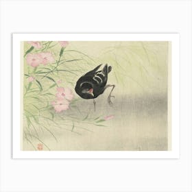 Bird In A Pond Art Print