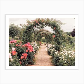 Garden Archway Art Print