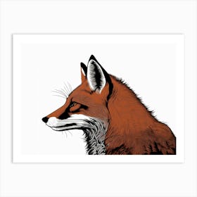 Red Fox Portrait Art Print