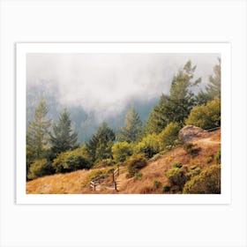 Foggy Forest Scenery Art Print