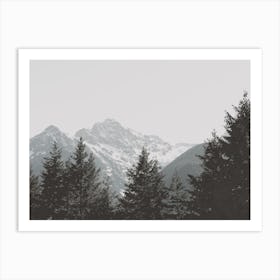 Mountain Peak Forest Art Print