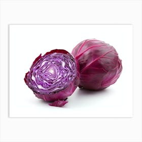 Red Cabbage (9) Art Print