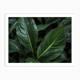 Close Up Of Green Leaves 1 Art Print