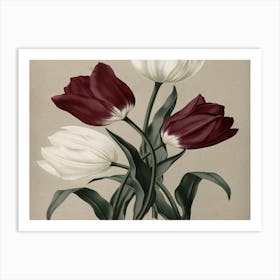 Three Tulips 1 Art Print