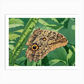 Owl Butterfly Perched on Greenery. A detailed close-up of an owl butterfly resting on a lush green plant. The intricate patterns and eye-like markings on its wings are vividly displayed, blending harmoniously with the natural surroundings. Art Print