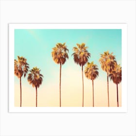 California Dreaming - Hollywood Palms Art Print