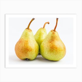 Pears On White Background Art Print