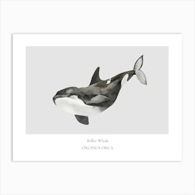 Orca Whale Art Print