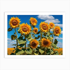 Sunflowers paintings art print 2 Art Print