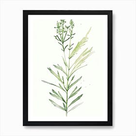 Valerian Herb Minimalist Watercolour 1 Art Print