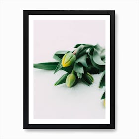 Tulips In The Snow Art Print