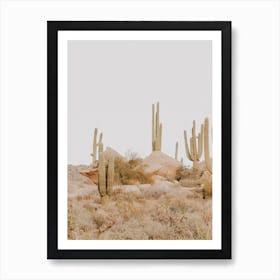 Sonoran Desert Art Print