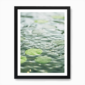 Water Lily Art Print