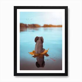 Baby Elephant On A Leaf River Trip Art Print