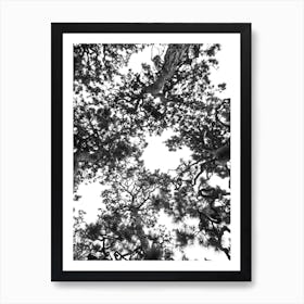 Japanese Garden 04 Art Print