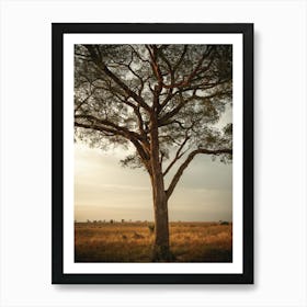 Lone Tree In The Savannah Of Uganda In East Africa Art Print