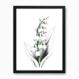 Lily Of The Valley 18 Poster