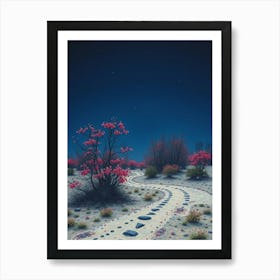 Path In The Desert Art Print