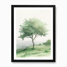 Acacia Tree Atmospheric Watercolour Painting 3 Art Print