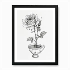 English Rose In A Cup Line Drawing 1 Art Print