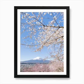 Charming View Of Mount Fuji With Cherry Blossoms Art Print