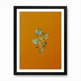 Vintage Blue Narrow Leaved Sollya Botanical on Sunset Orange n.0876 Art Print