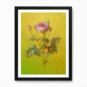 Vintage Pink French Roses Botanical Art on Empire Yellow n.1067 Art Print