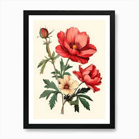 Red Poppy Flower Art Print