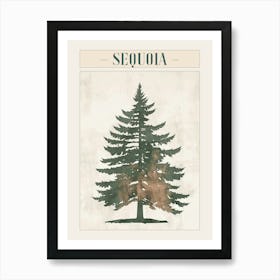 Sequoia Tree Minimal Japandi Illustration 3 Poster Art Print