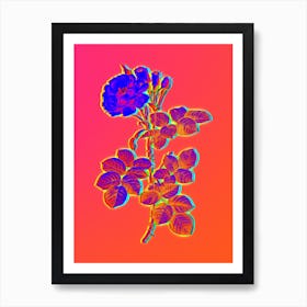Neon Damask Rose Botanical in Hot Pink and Electric Blue n.0597 Art Print